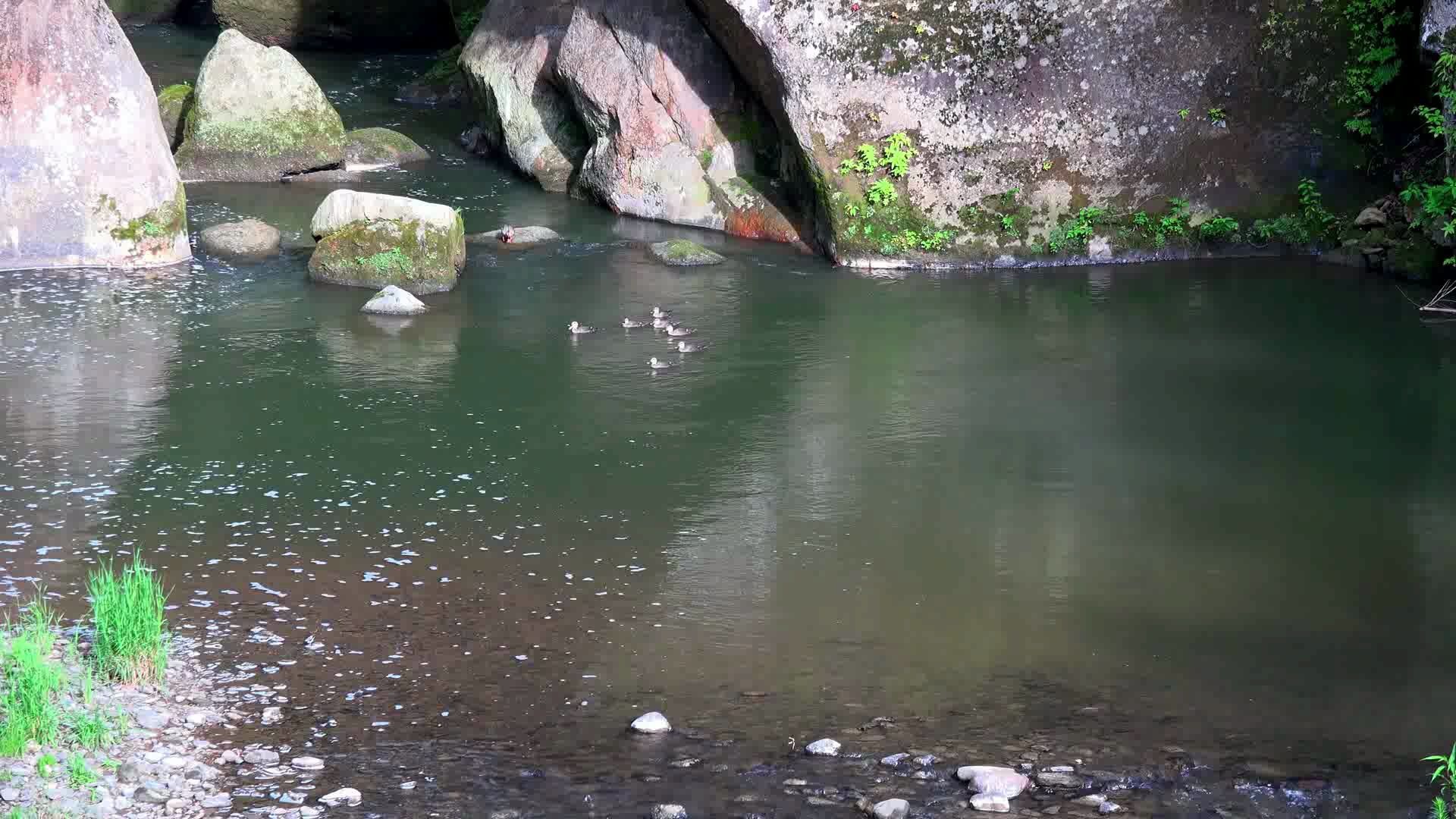 [图]满园春色关不住，二十四节气之立春 雨水 惊蛰