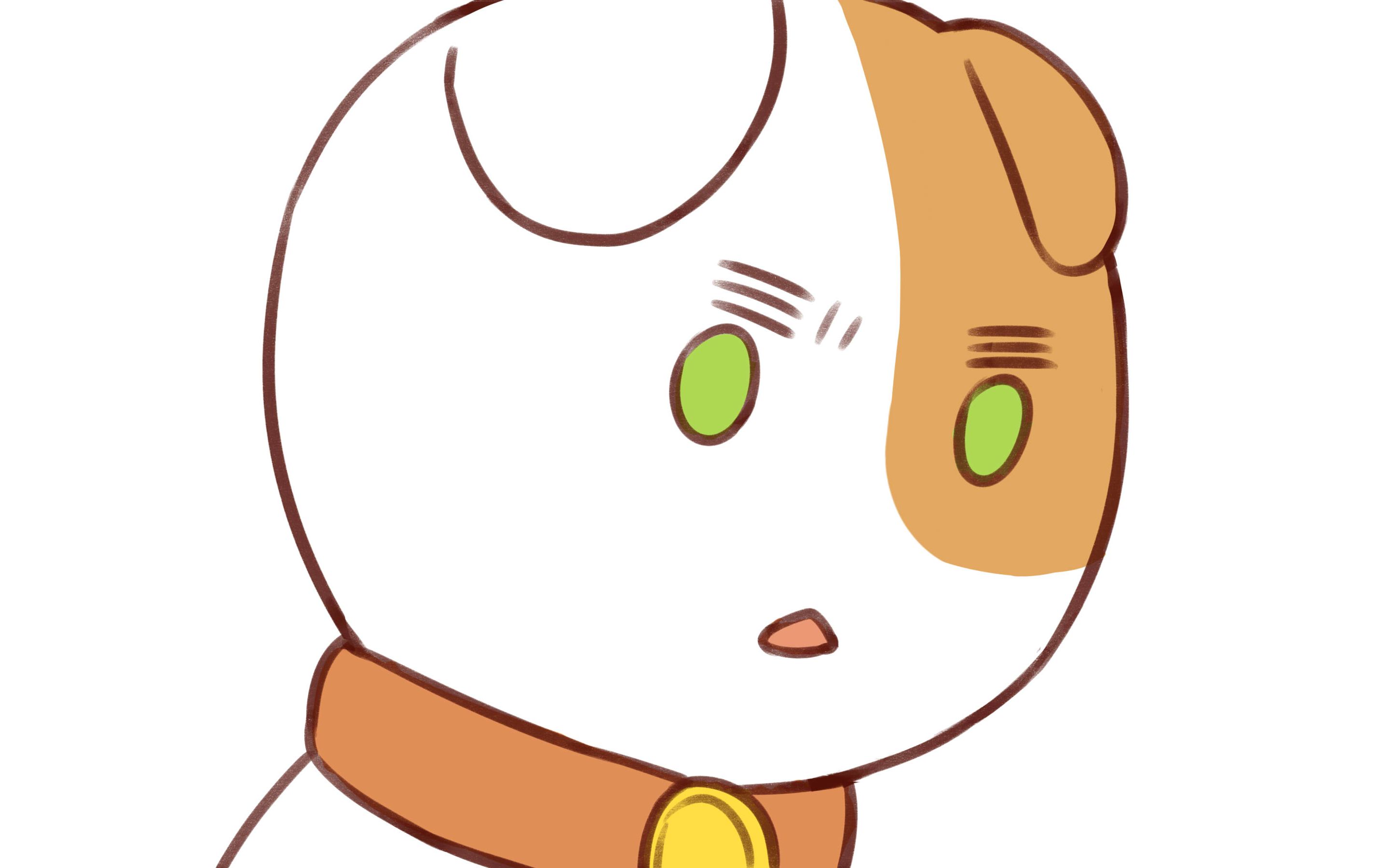 喵化黑塔利亚②联五会议耀喵迟到啦