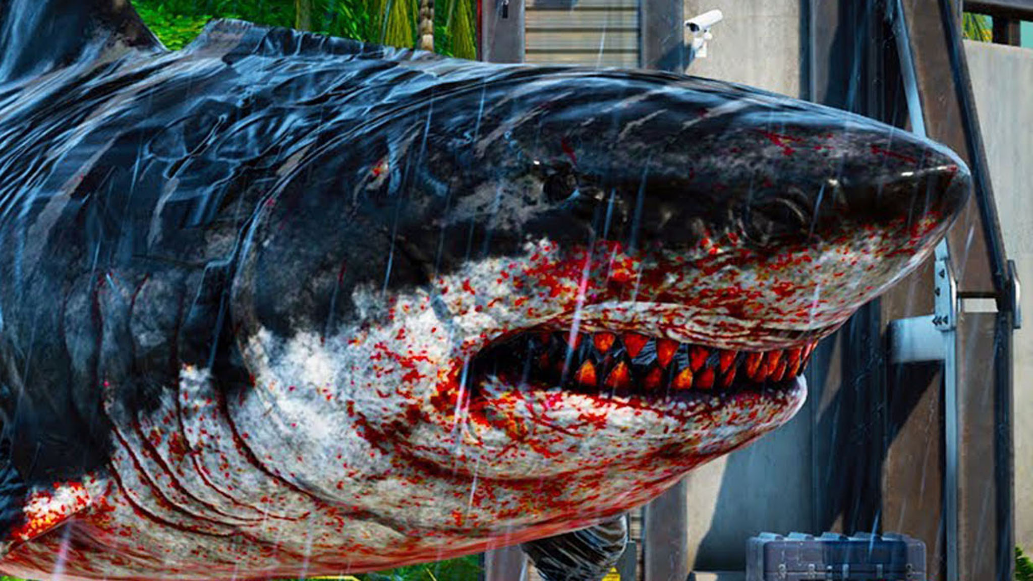 五头鲨大战巨齿鲨图片