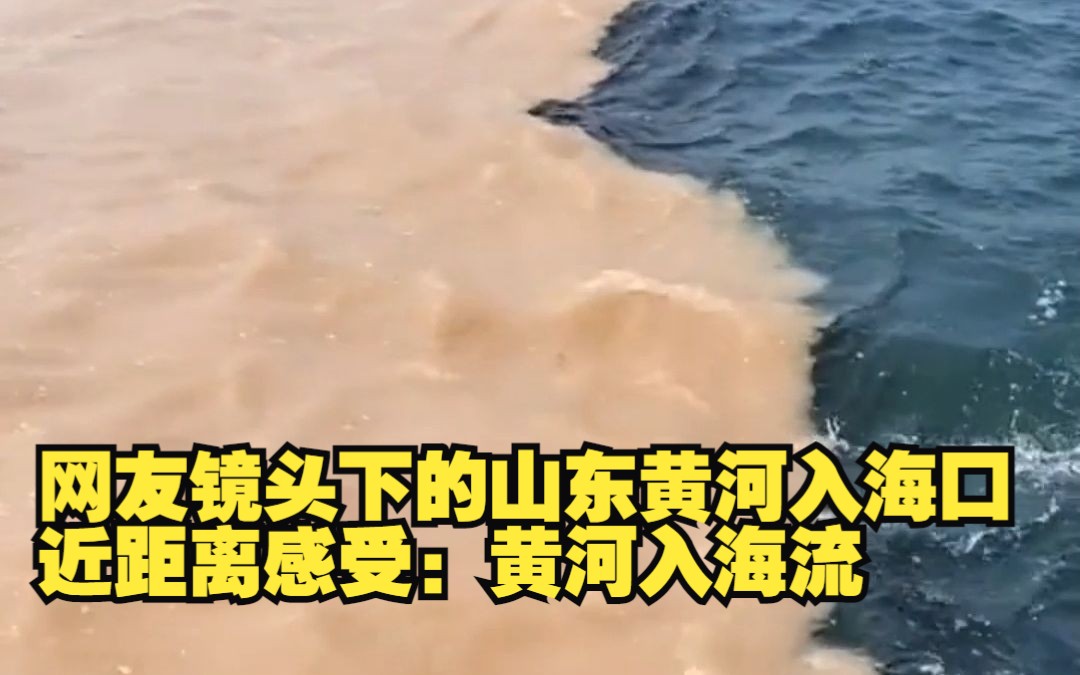 网友镜头下的山东黄河入海口 近距离感受:黄河入海流哔哩哔哩bilibili