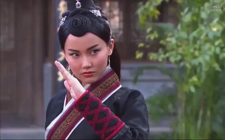 龙门镖局苍月黄龄发型