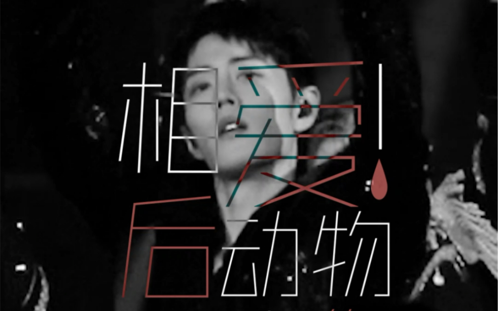 【worldlyideal_肖战】相爱后动物感伤 肖战-少爷的黑莓机-2021跨年