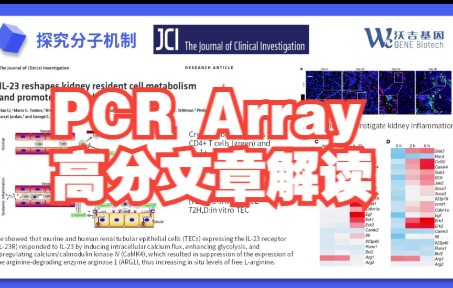 PCR Array高分文章解读哔哩哔哩bilibili