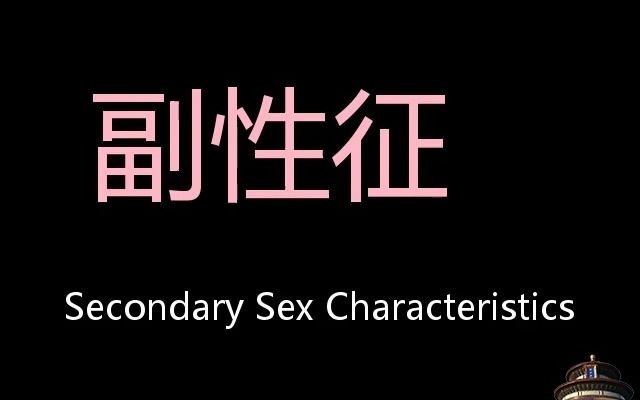 副性徵 chinese pronunciation secondary sex characteristics