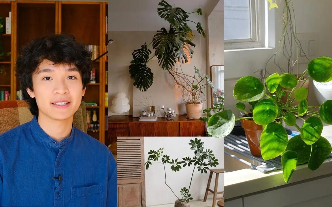 [图]Benji教你如何让室内植物更整洁好看｜Ways to make your houseplants look a little bit nicer