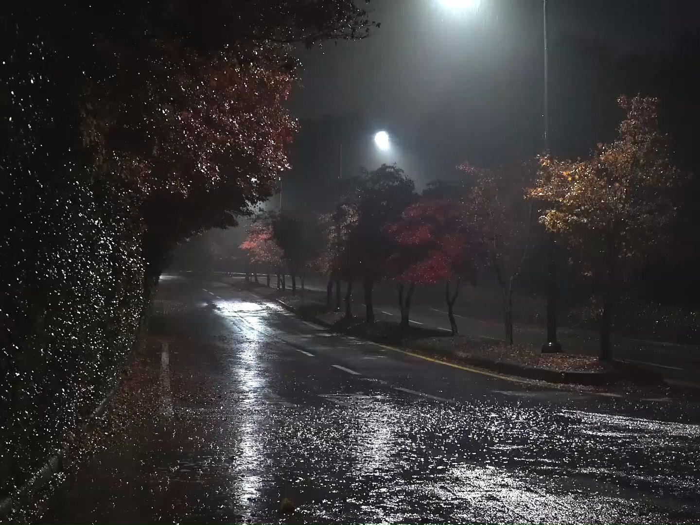 [图]安静的路上，轻轻的雨声，白噪音，克服失眠，睡个好觉