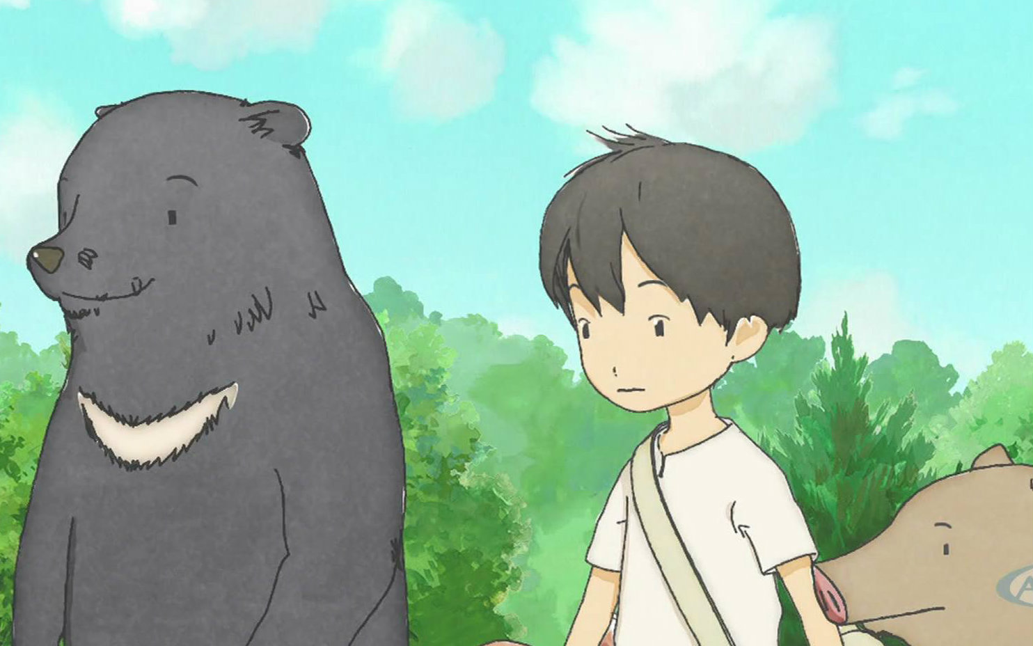 直传 【人与狗熊,野猪,兔子,乌龟和青蛙等的日常,呵呵】【今年的动画