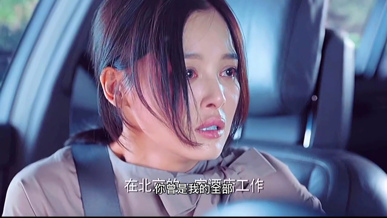 活动  领悟辛晓琪