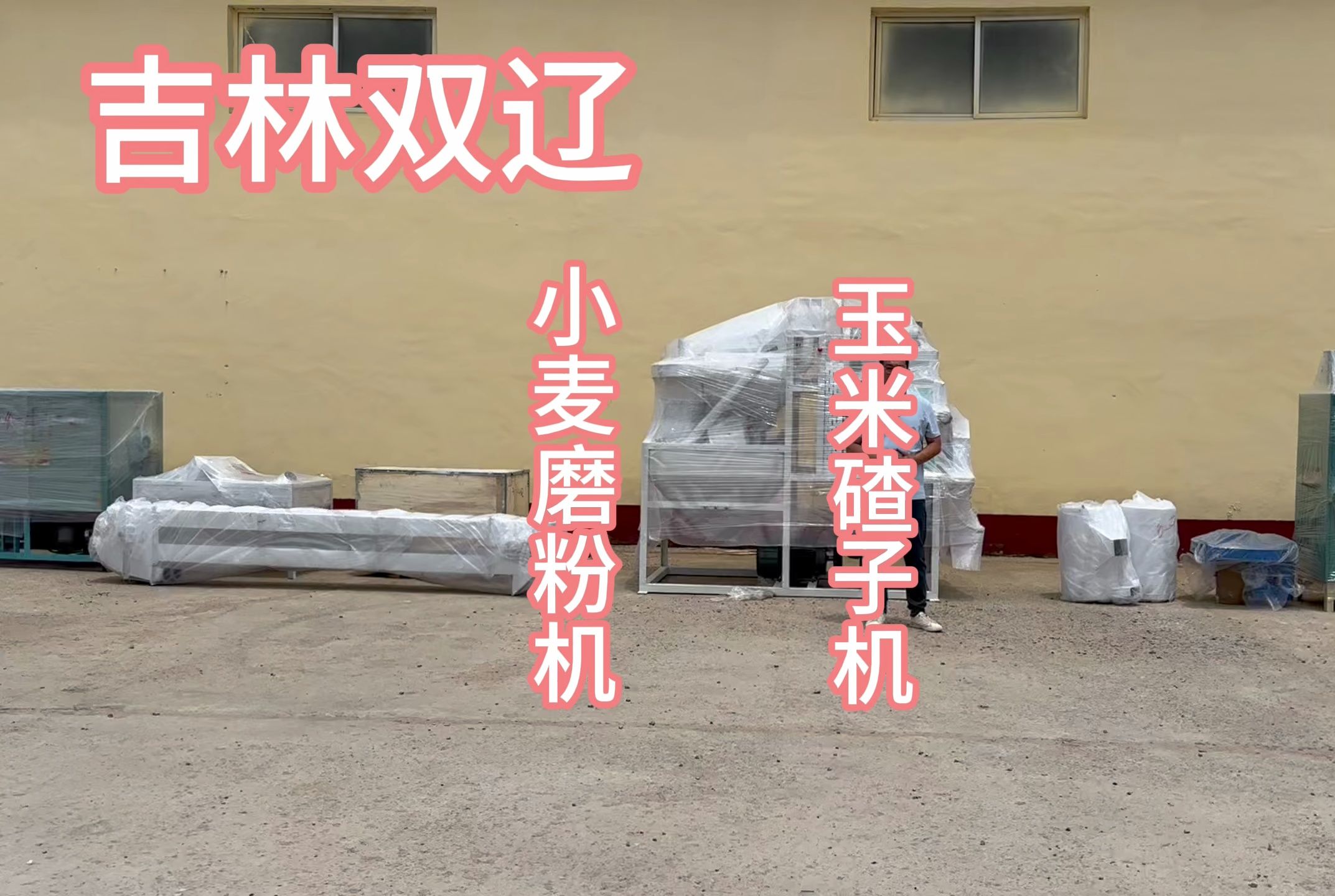 东北玉米碴子机 玉米碴加工机器 玉米杂粮磨粉机