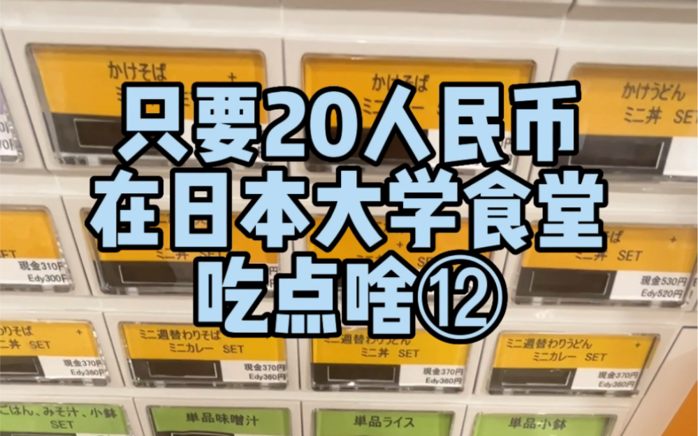 日本女子大学吃什么——有谁不爱炸鸡块盖饭哔哩哔哩bilibili