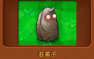 Download Video: 新植物：石果子