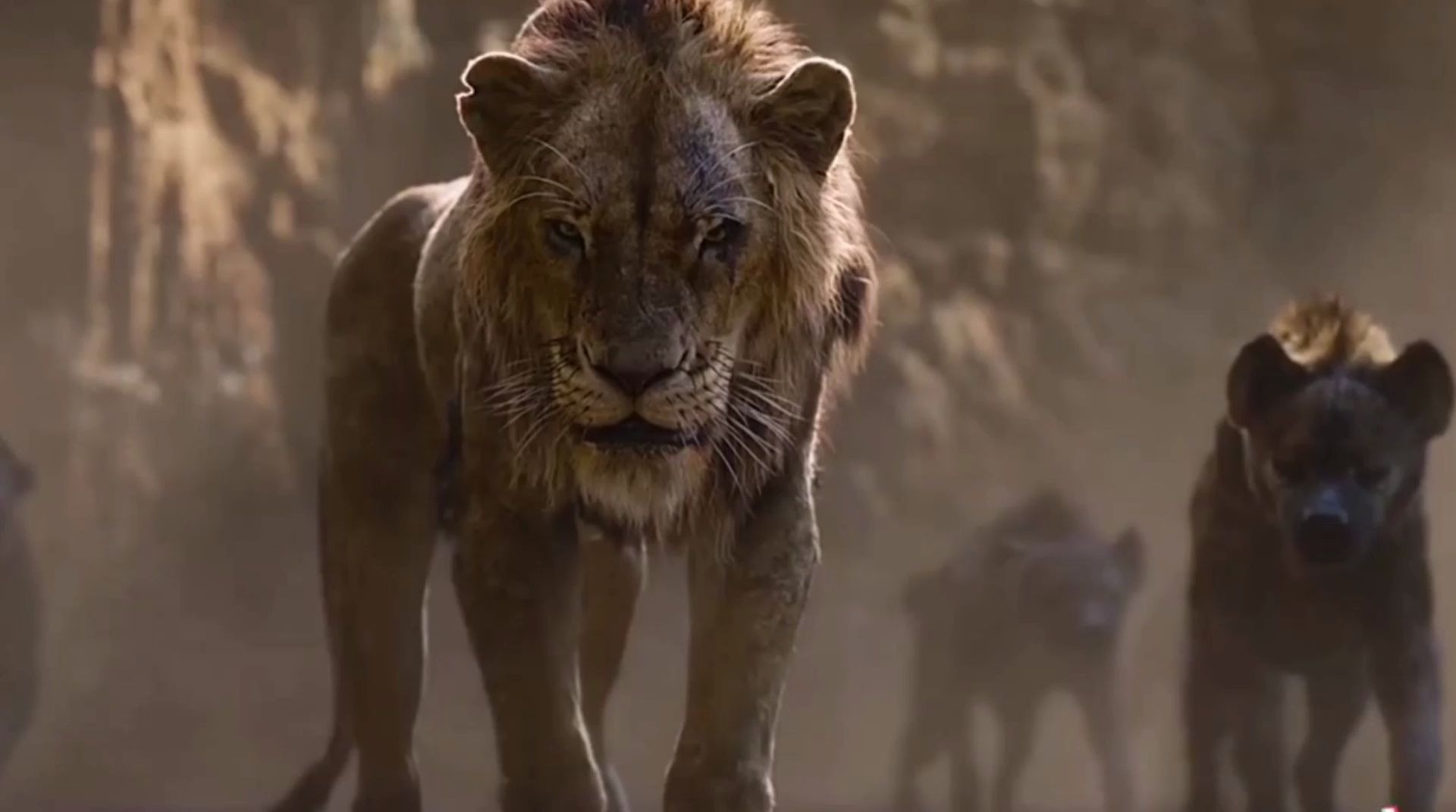 狮子王其实动物世界同样也充满尔虞我诈