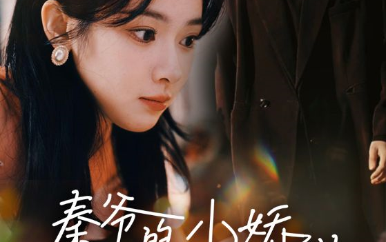 秦爷的小娇纵(高清完整版)全集