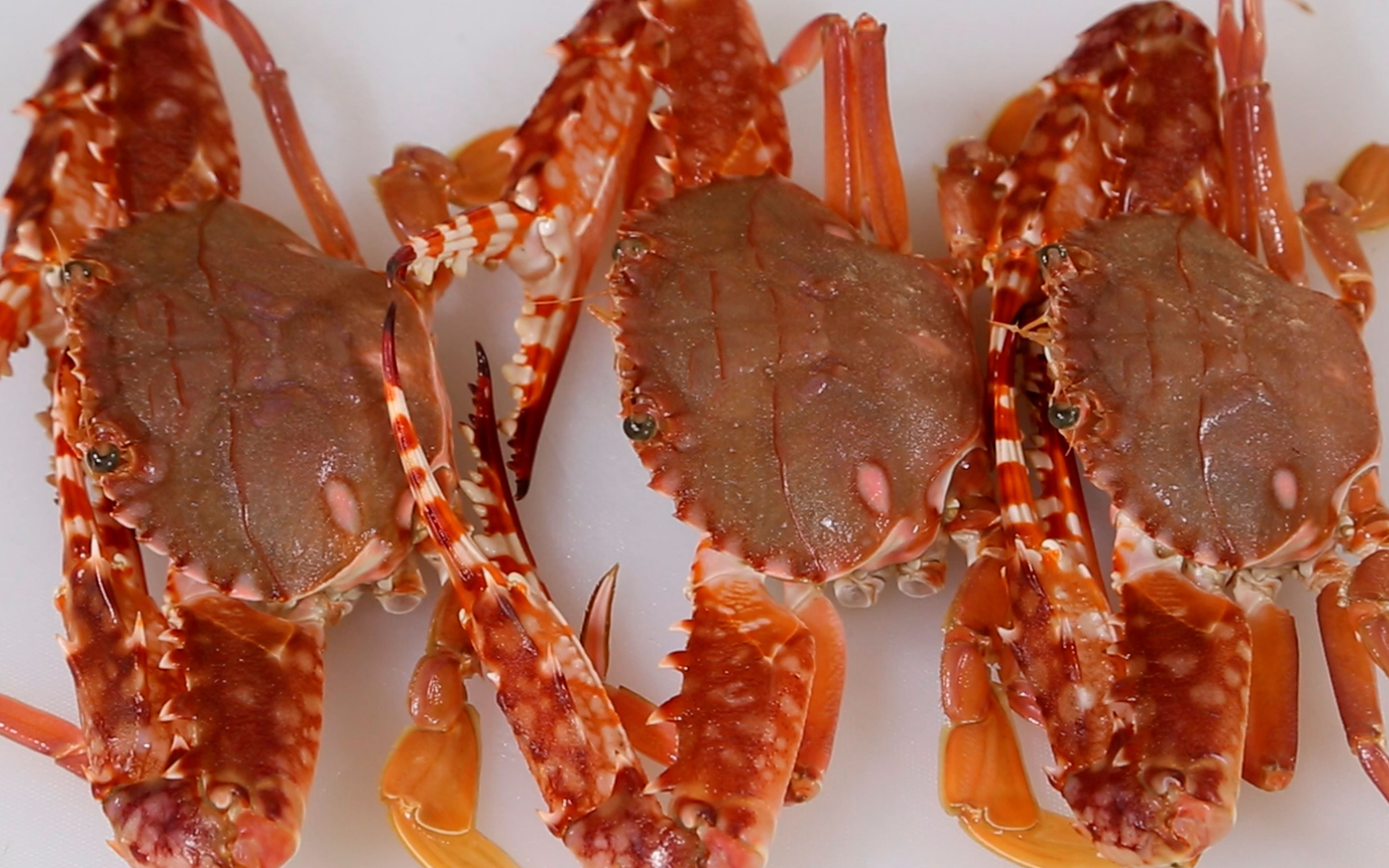 红蟹清蒸很原汁原味,这样的做法和老渔民做的一样_哔哩哔哩_bilibili