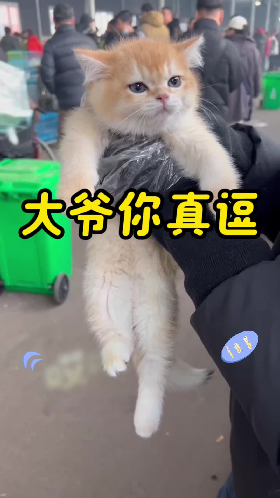 大爷你真逗哔哩哔哩bilibili