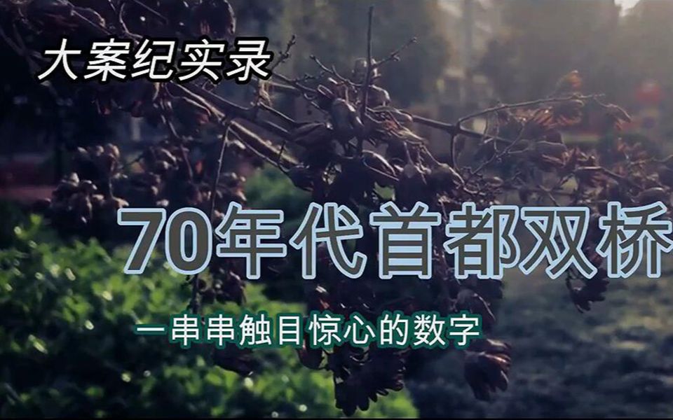 [图]【大案纪实】70年代双桥飞毛腿侦破记