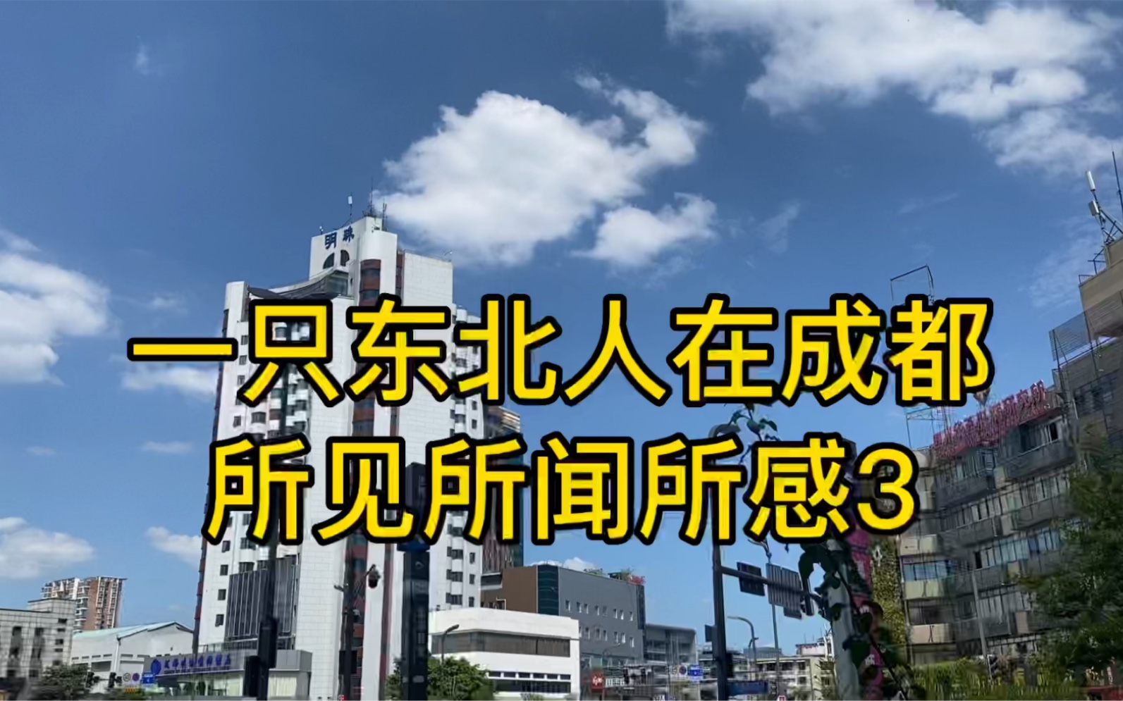 东北人在成都生活,成都工作.成都美食,人文,风景,习俗浅谈.哔哩哔哩bilibili