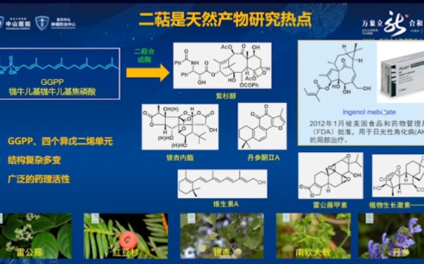 [讲座回放]赵金鑫副研究员 汇报题目:新颖结构天然活性二萜的发现与研究哔哩哔哩bilibili