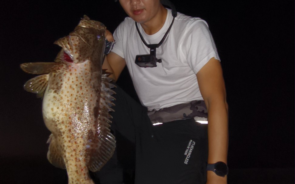 路亚大根石斑鱼