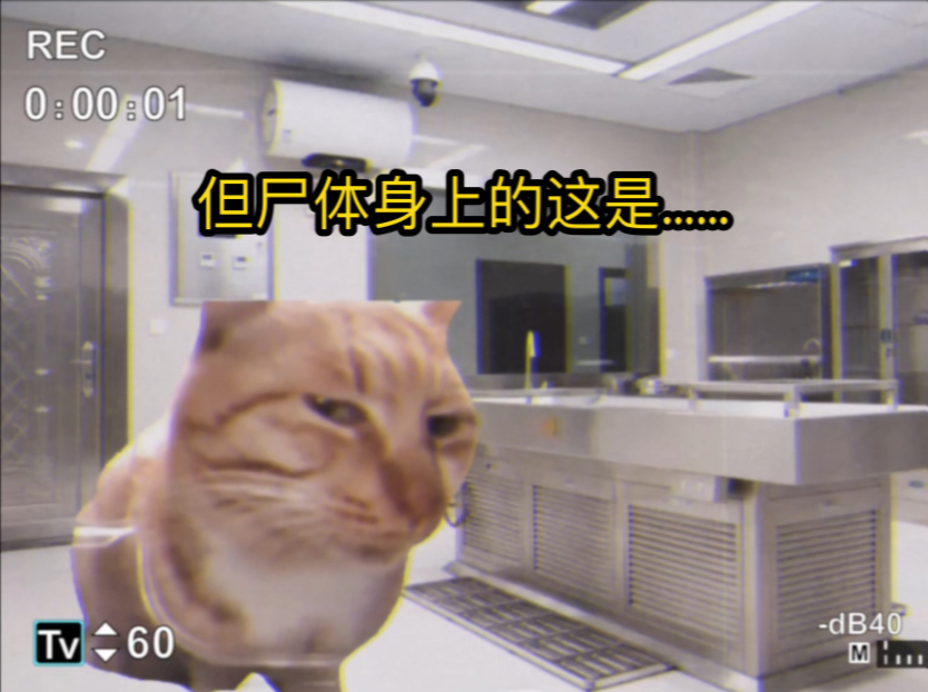 [图]【猫meme】法医工作那些年经历的离谱事件1:火场疑案