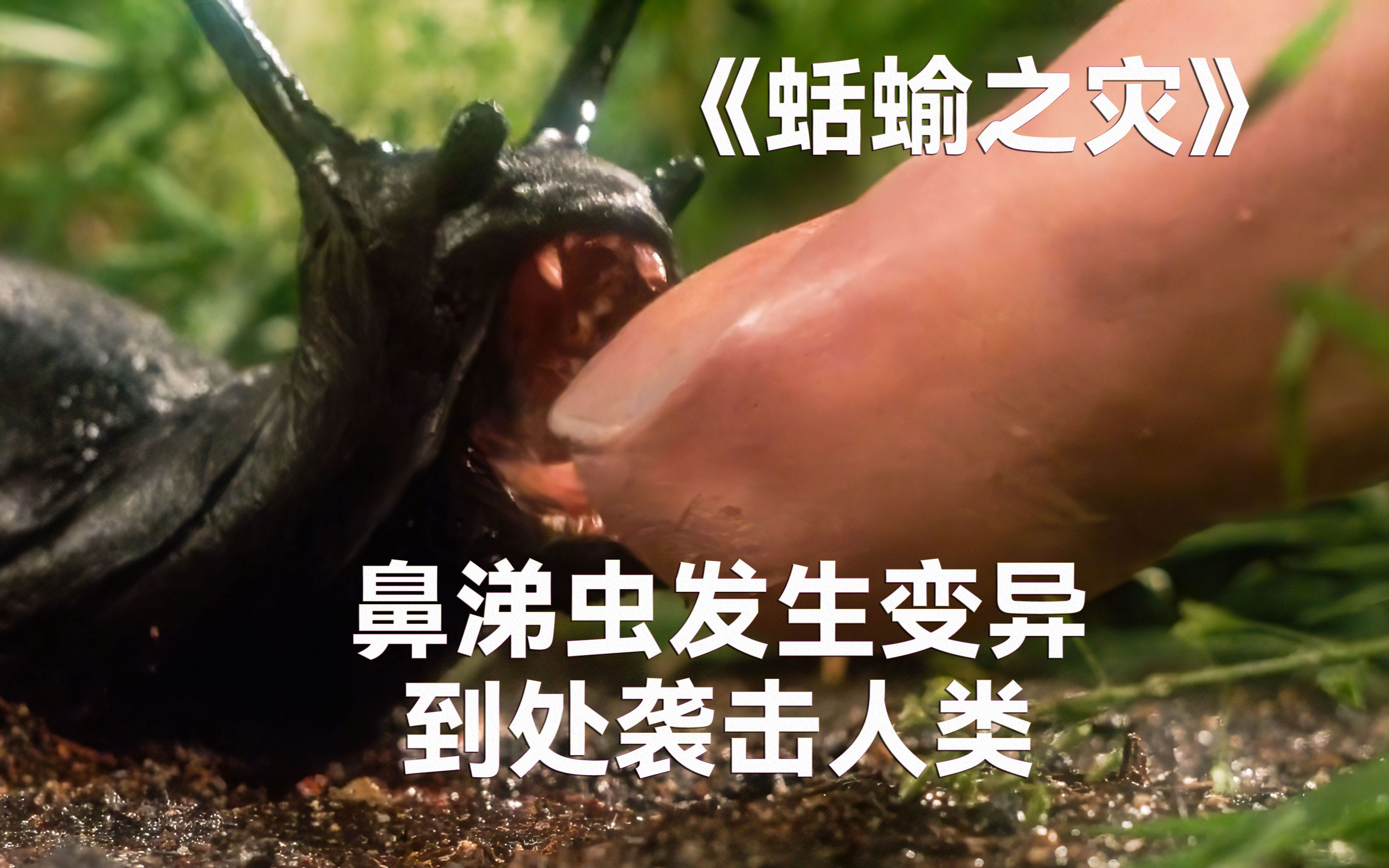 变异鼻涕虫混入包菜,女人把它做成沙拉,丈夫吃后开始变异 #蛞蝓之灾