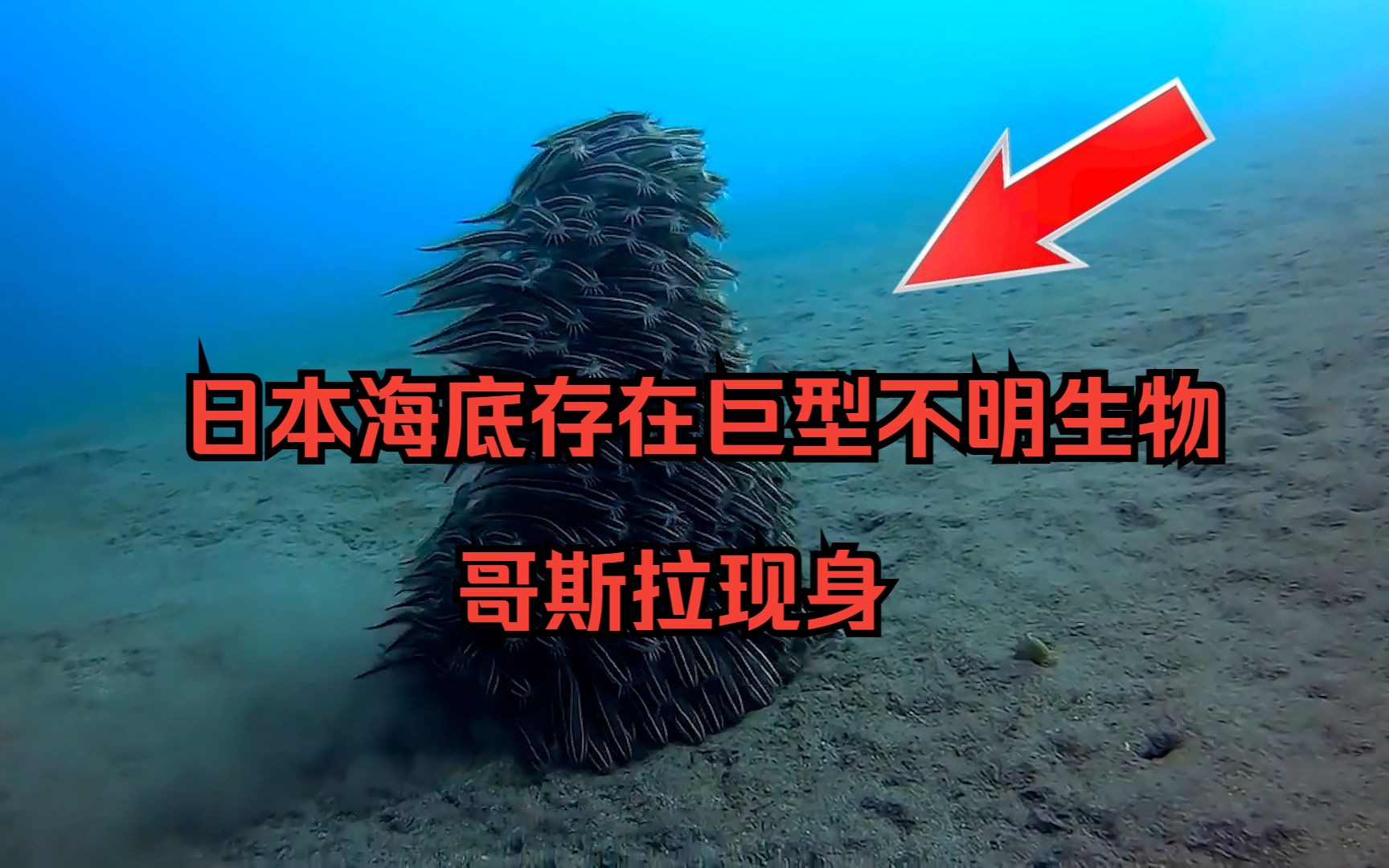 海底巨型不明生物图片