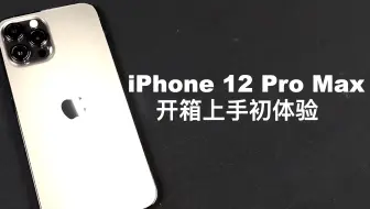 iPhone 12 Pro Max开箱：大 这手机是真的大！