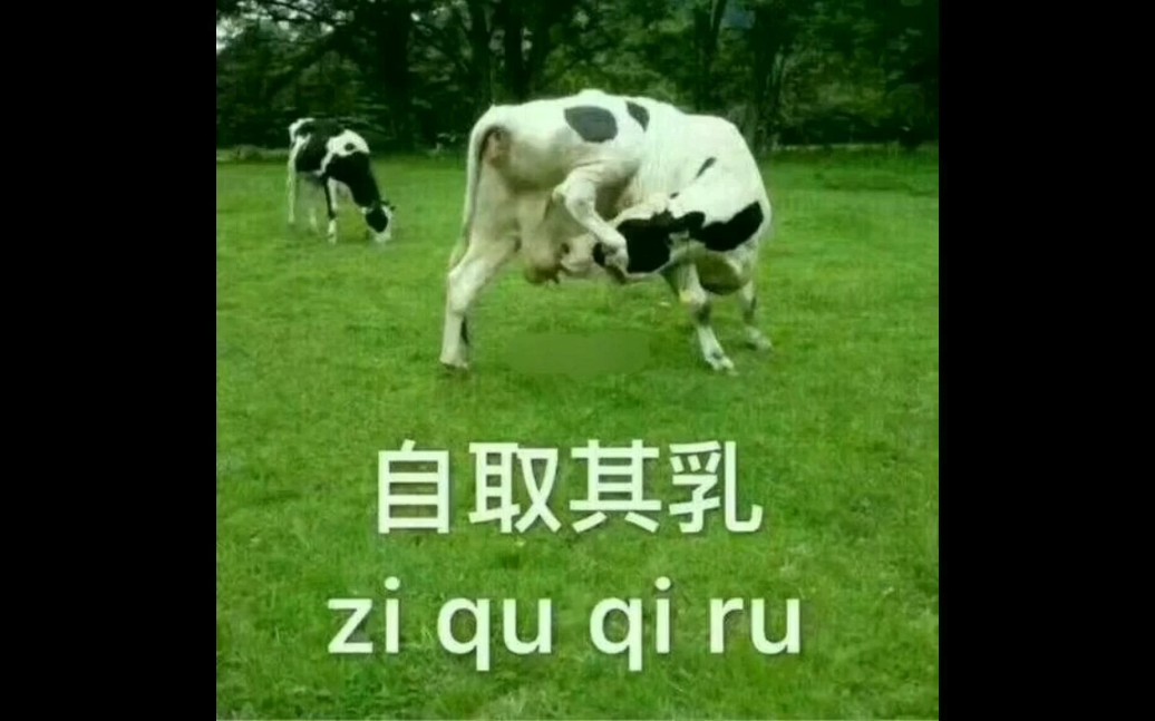 网络上的那些沙雕图(26)