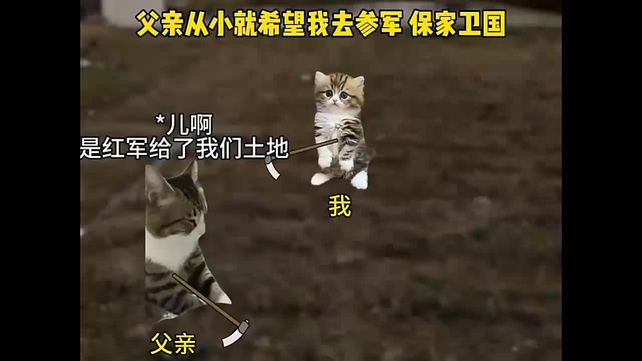 马上下一条𐟘祓”哩哔哩bilibili