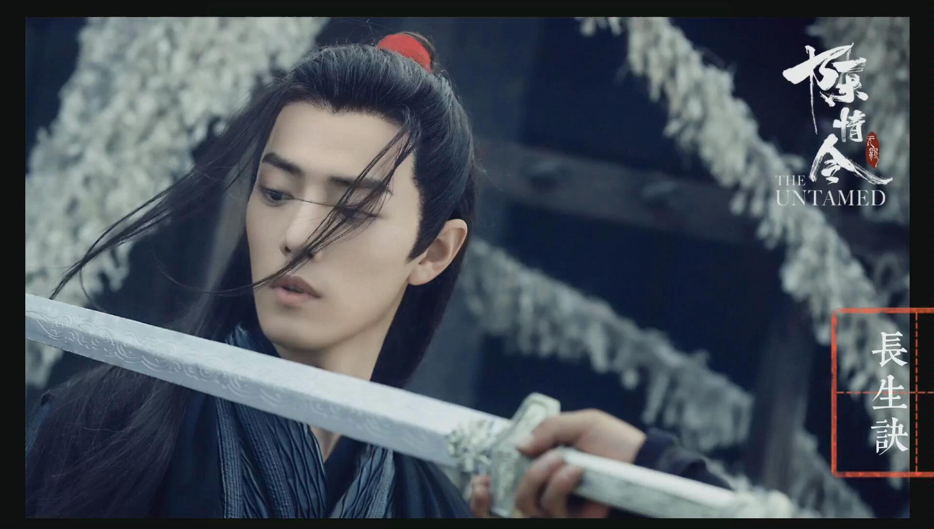 肖战 | 魏无羡 | 长生诀