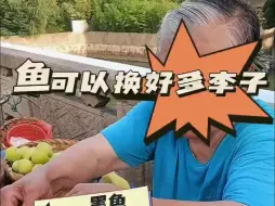 Download Video: 原来钓的鱼可以换这么多李子