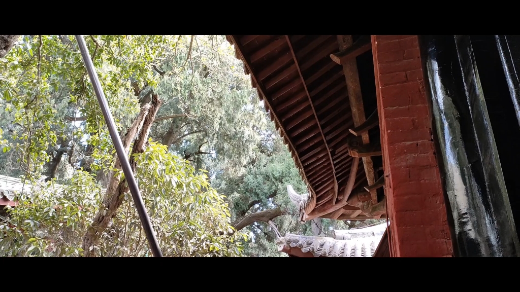 道鑫春游day1//绵阳文昌书院//来自一个剪辑小白的vlog初体验