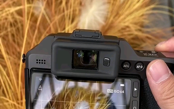 哈苏x2d:极致画质,影像之美