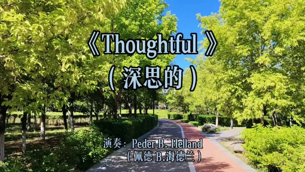 [图]谧静优美的世界顶级轻音乐《Thoughtful 》触动心灵的治愈经典！