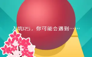 Descargar video: 入坑RS，你会遇到……