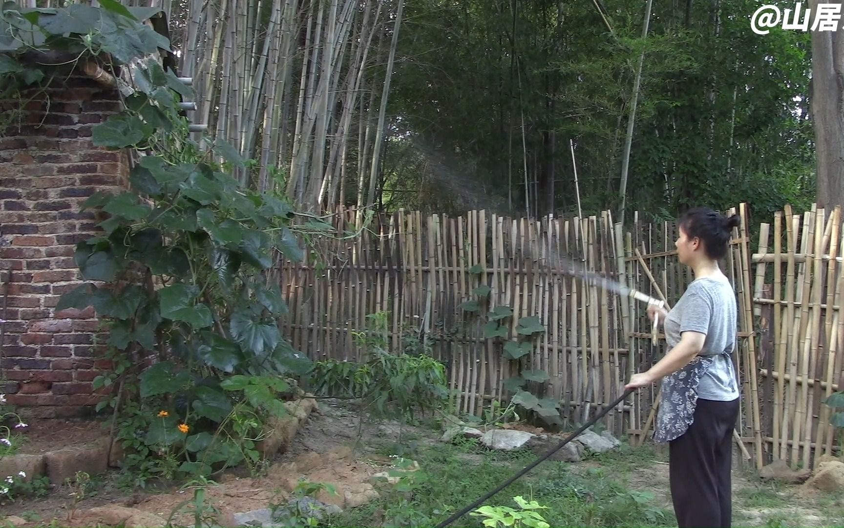 7月7日湖南女子的隐居生活,修篱种菊,自耕自种,四年了,看她怎么过的哔哩哔哩bilibili