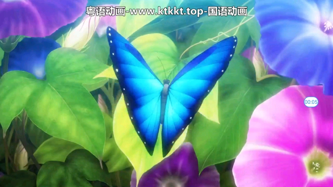 数码宝贝主题曲繁体字慕哔哩哔哩bilibili