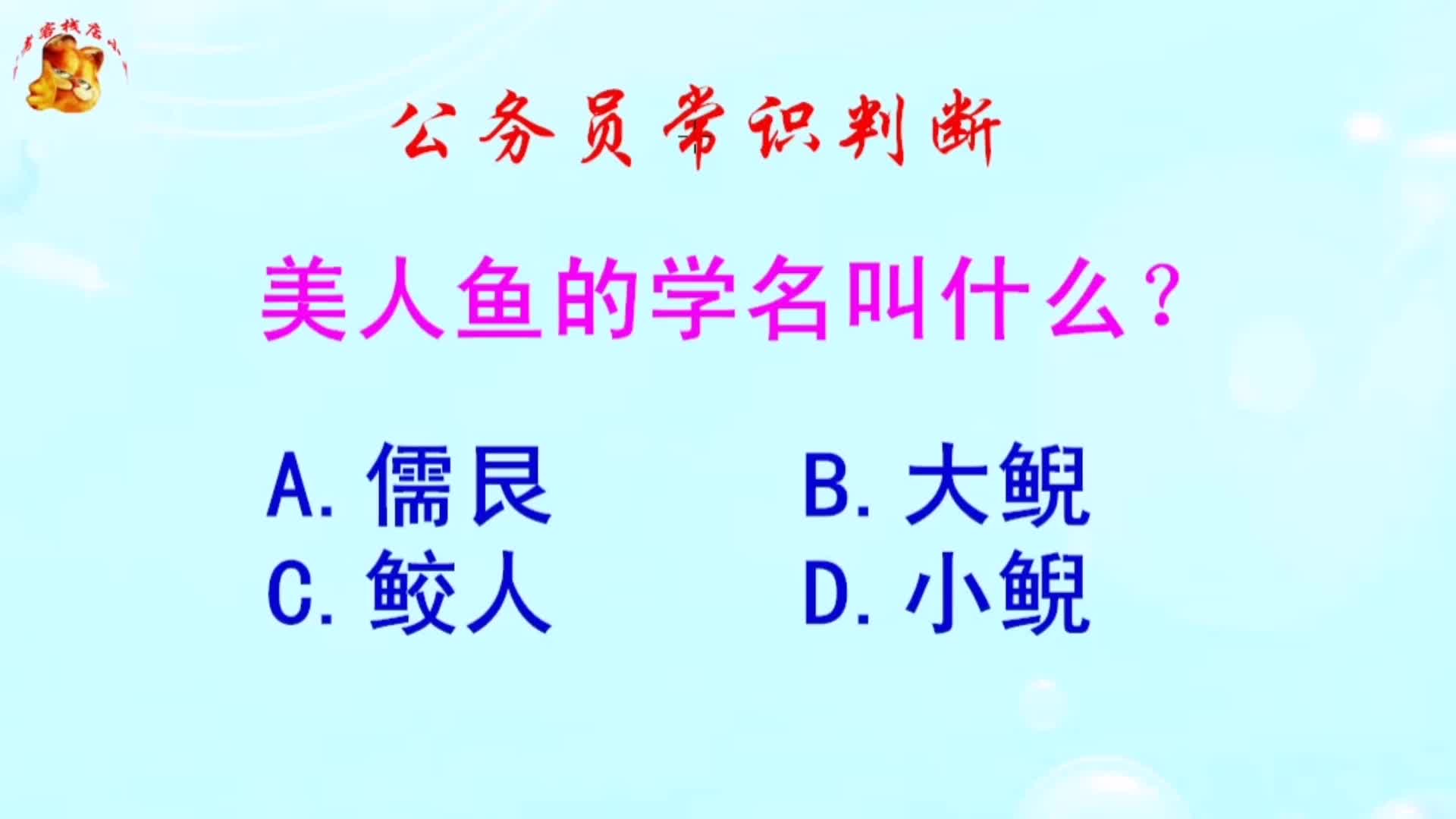 公务员常识判断,美人鱼的学名叫什么?难倒了学霸哔哩哔哩bilibili