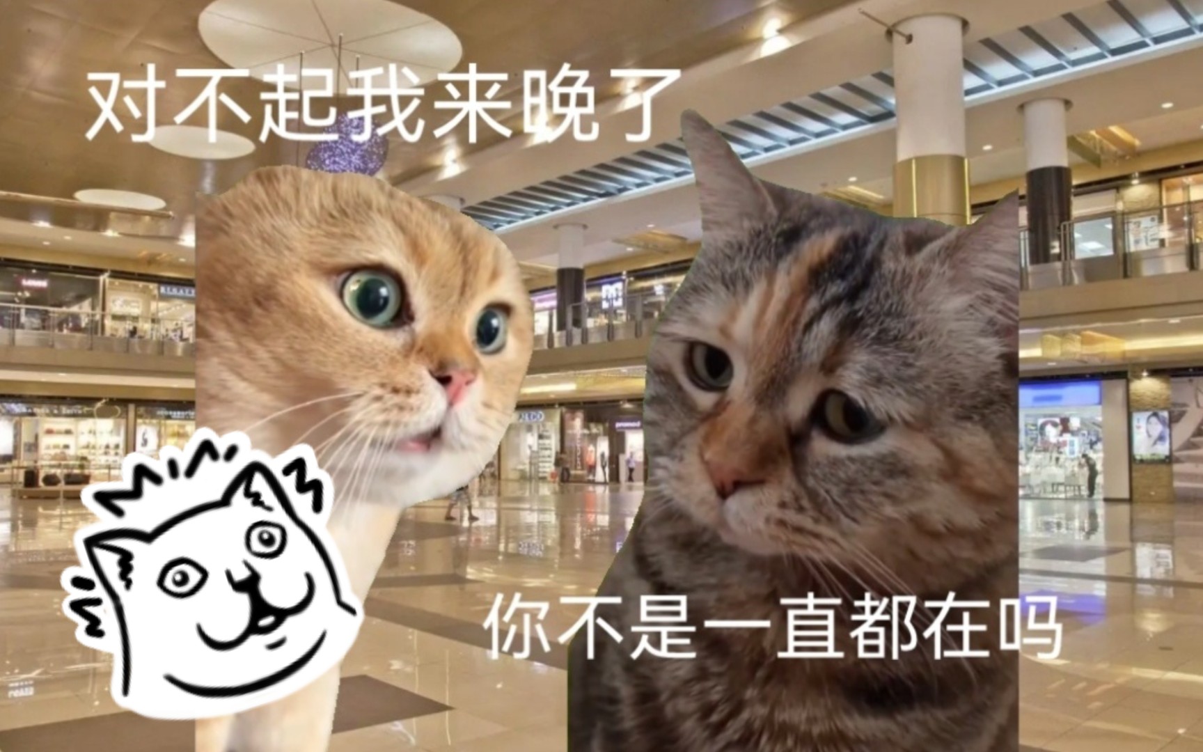 【猫meme】发烧在家梦见自己被夺舍了