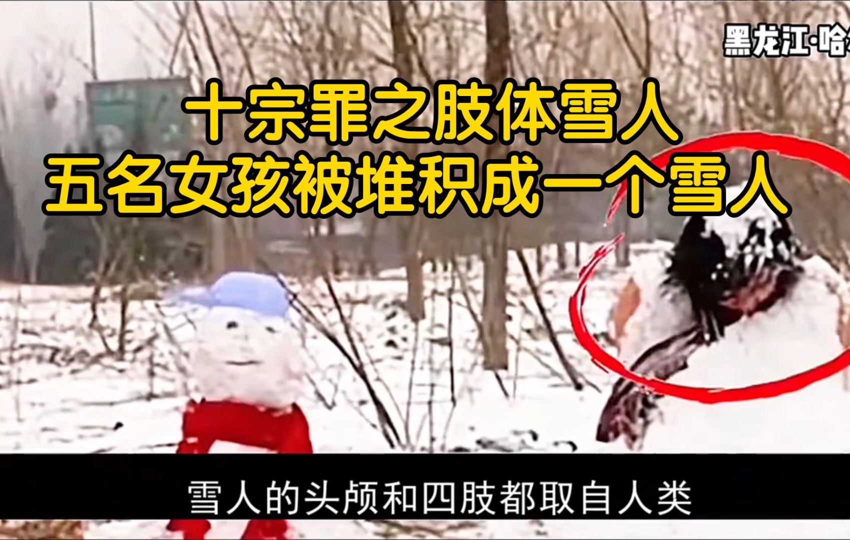 十宗罪之肢体雪人,五名女孩被堆积成一个雪人 【哈尔滨雪人案】【犯罪分子】【真实案件】哔哩哔哩bilibili