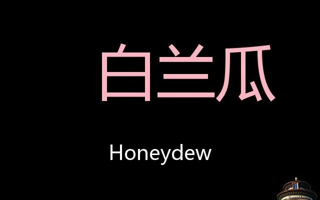 白兰瓜 Chinese Pronunciation Honeydew哔哩哔哩bilibili