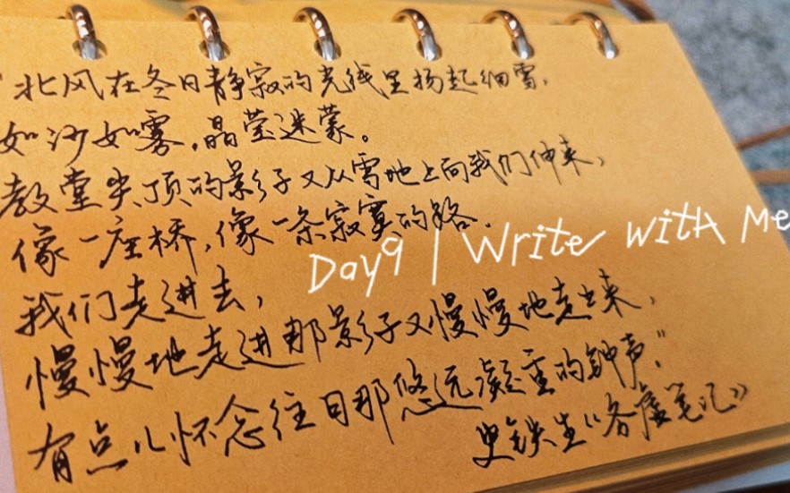 Day9 | Write with me.史铁生《务虚笔记》摘抄.哔哩哔哩bilibili