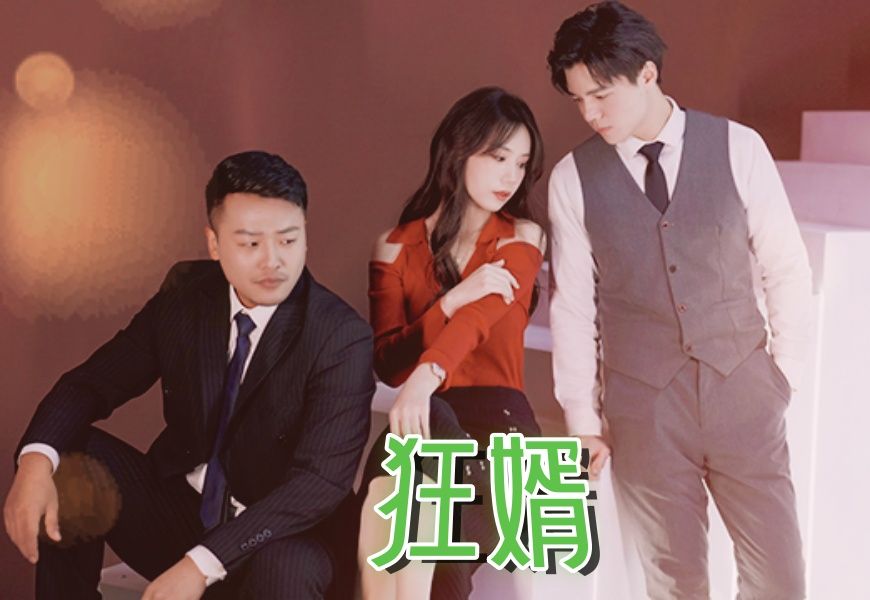 《狂婿》精彩全集哔哩哔哩bilibili