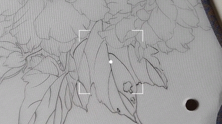 画团扇,汉服旗袍最佳搭档.