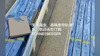 施耐博格