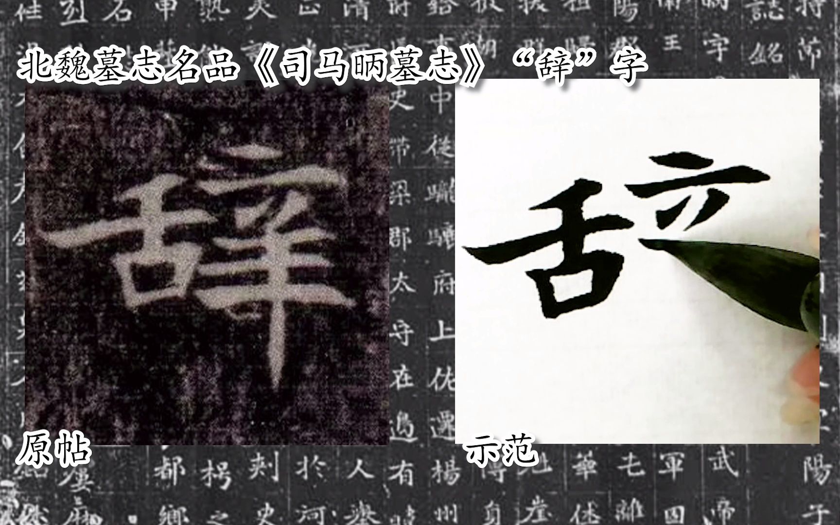 [图]【每日一字】书法系列，周东芬临北魏楷书《司马昞墓志》“辞”字