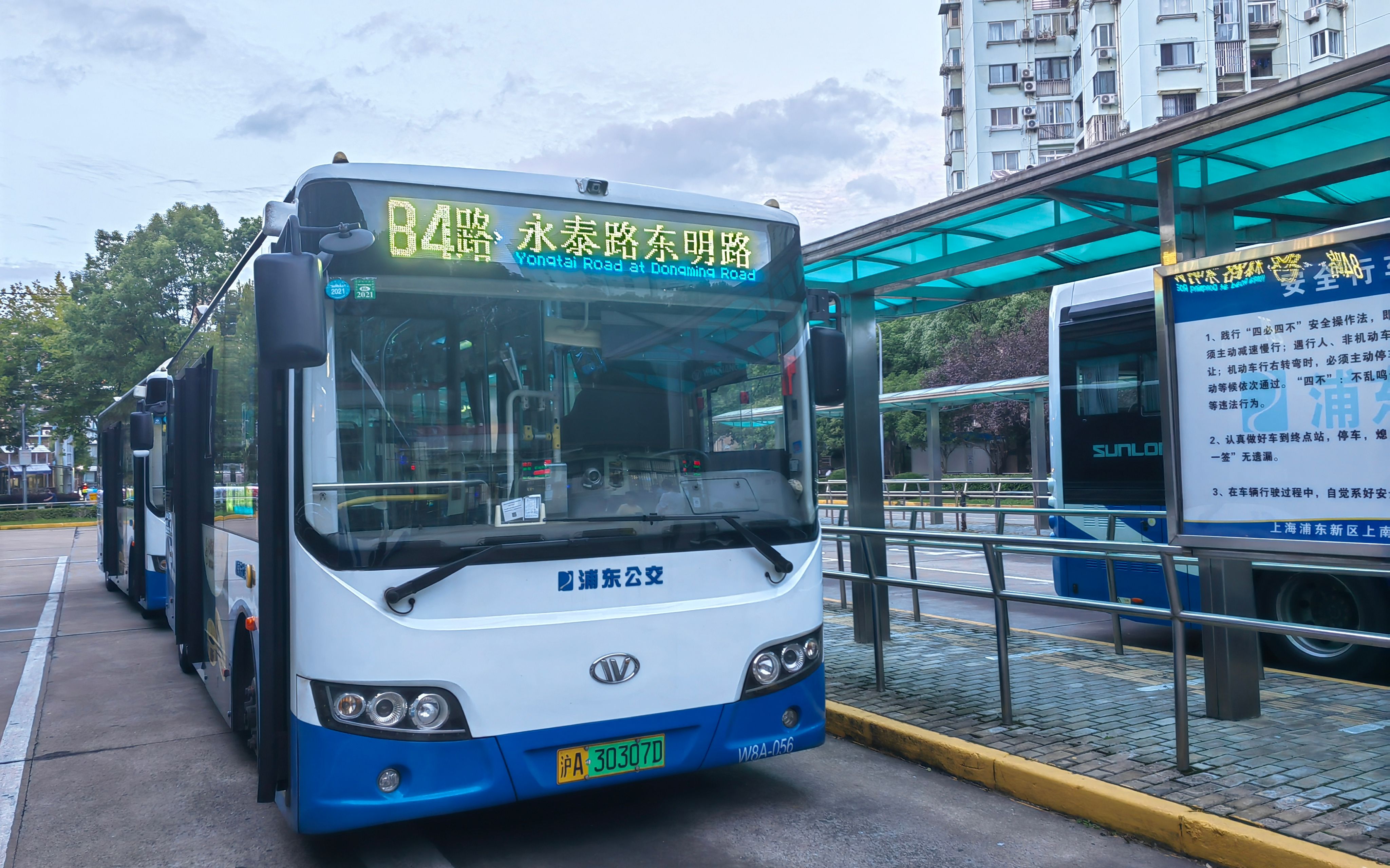 【pov3】跨年之作 84路(永泰路东明路→春眺路枢纽站)第一视角前方