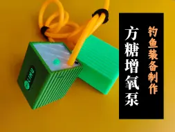 Télécharger la video: 超级迷你的小物增氧泵