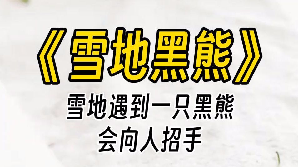 [图]【雪地黑熊】今天外面已经零下三十度了。天气预报说这是几年难遇的寒潮，建议大家在家不要出行。没想到我会在遛狗时遇到一只黑熊。它像人一样站着向我挥手！