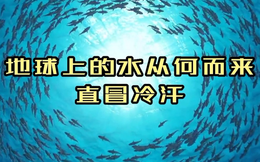 地球上的水到底从何而来?大海又是怎么形成的?看得我直冒冷汗!哔哩哔哩bilibili